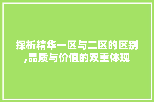 探析精华一区与二区的区别,品质与价值的双重体现 搜狗SEO
