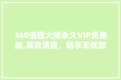 360清理大师永久VIP免费版,高效清理，畅享无忧数字生活 网站建设公司