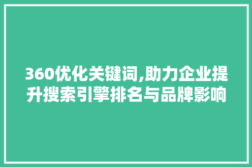 360优化关键词,助力企业提升搜索引擎排名与品牌影响力 网站建设公司