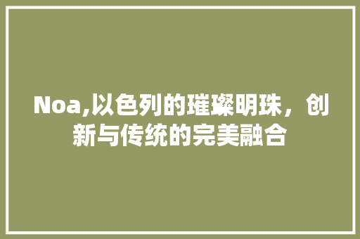Noa,以色列的璀璨明珠，创新与传统的完美融合 必应SEO