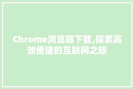 Chrome浏览器下载,探索高效便捷的互联网之旅 SEO关键词