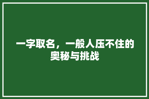一字取名，一般人压不住的奥秘与挑战