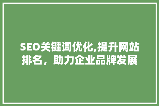 SEO关键词优化,提升网站排名，助力企业品牌发展 神马SEO