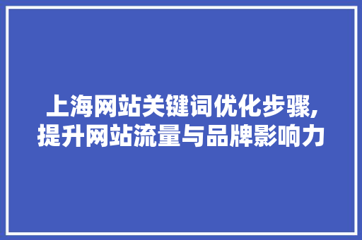 上海网站关键词优化步骤,提升网站流量与品牌影响力的方法 网站建设公司