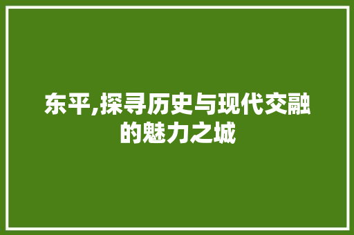 东平,探寻历史与现代交融的魅力之城 SEO关键词