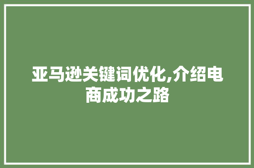 亚马逊关键词优化,介绍电商成功之路