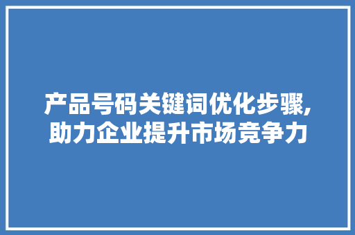 产品号码关键词优化步骤,助力企业提升市场竞争力 网站建设公司