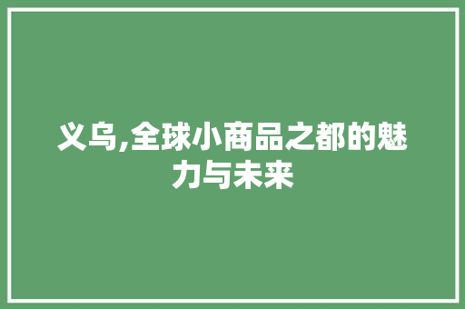 义乌,全球小商品之都的魅力与未来