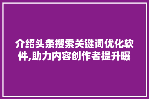 介绍头条搜索关键词优化软件,助力内容创作者提升曝光率 网站建设公司