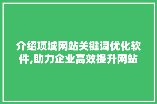 介绍项城网站关键词优化软件,助力企业高效提升网站排名 网站建设公司