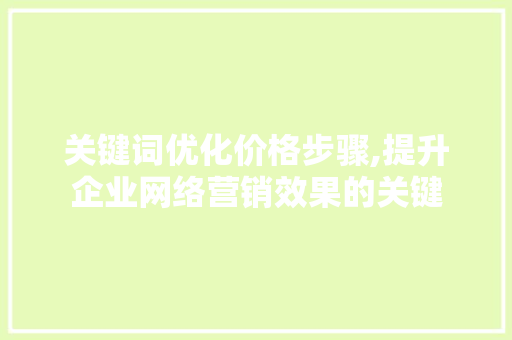 关键词优化价格步骤,提升企业网络营销效果的关键