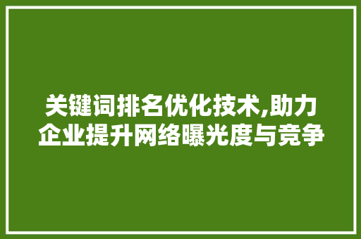 关键词排名优化技术,助力企业提升网络曝光度与竞争力 网站建设公司