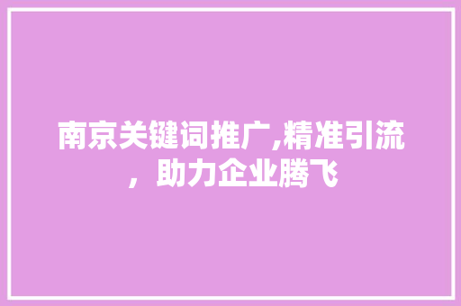 南京关键词推广,精准引流，助力企业腾飞 百度SEO