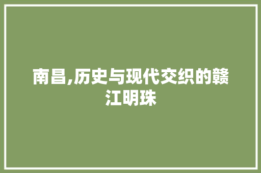 南昌,历史与现代交织的赣江明珠 网站建设公司