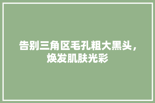 告别三角区毛孔粗大黑头，焕发肌肤光彩 神马SEO