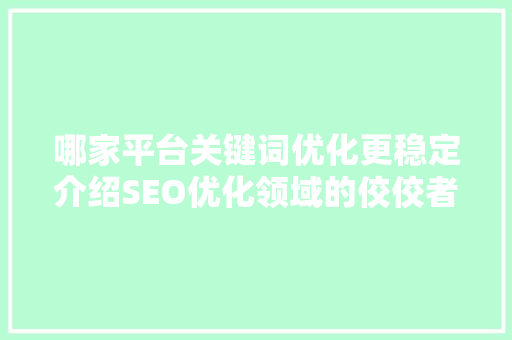 哪家平台关键词优化更稳定介绍SEO优化领域的佼佼者 SEO关键词