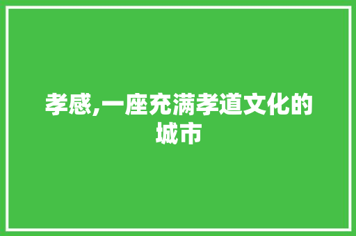 孝感,一座充满孝道文化的城市 网站建设公司