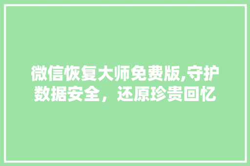 微信恢复大师免费版,守护数据安全，还原珍贵回忆