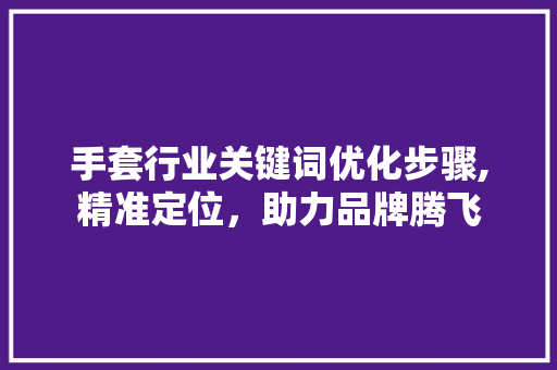 手套行业关键词优化步骤,精准定位，助力品牌腾飞 百度SEO