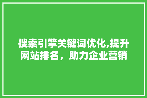 搜索引擎关键词优化,提升网站排名，助力企业营销 百度SEO
