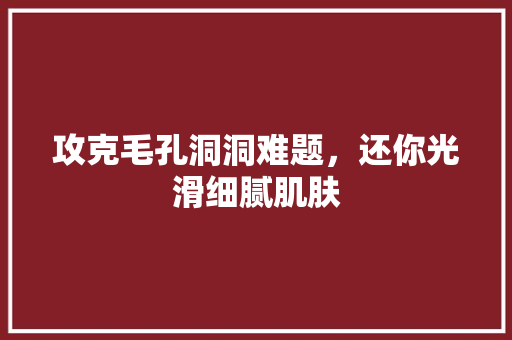 攻克毛孔洞洞难题，还你光滑细腻肌肤 百度SEO