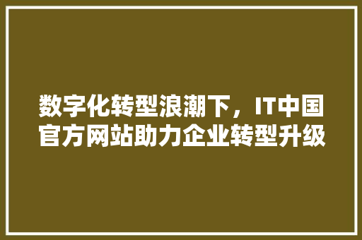 数字化转型浪潮下，IT中国官方网站助力企业转型升级 百度SEO
