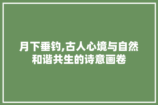 月下垂钓,古人心境与自然和谐共生的诗意画卷 神马SEO