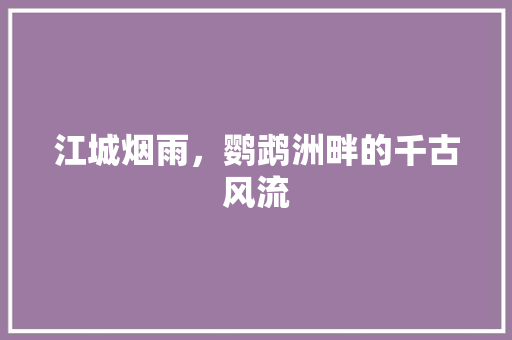 江城烟雨，鹦鹉洲畔的千古风流 百度SEO