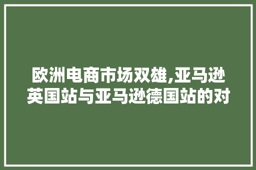 欧洲电商市场双雄,亚马逊英国站与亚马逊德国站的对比分析