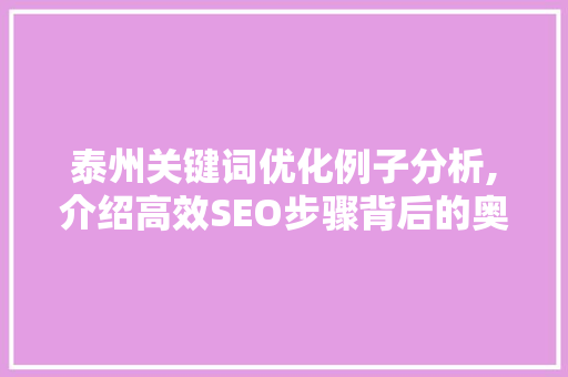 泰州关键词优化例子分析,介绍高效SEO步骤背后的奥秘 百度SEO