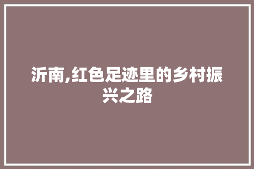 沂南,红色足迹里的乡村振兴之路 必应SEO
