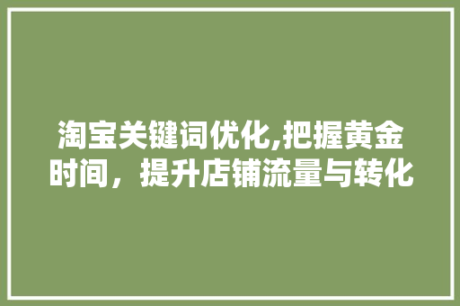 淘宝关键词优化,把握黄金时间，提升店铺流量与转化率 百度SEO