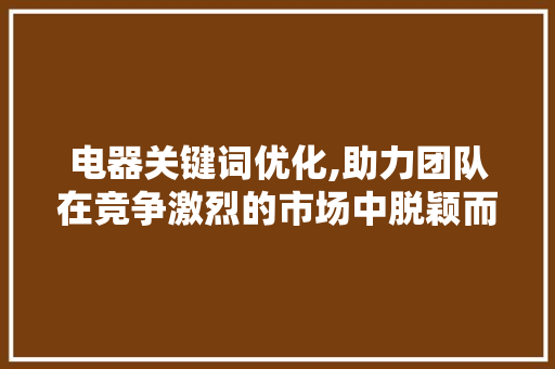电器关键词优化,助力团队在竞争激烈的市场中脱颖而出 必应SEO