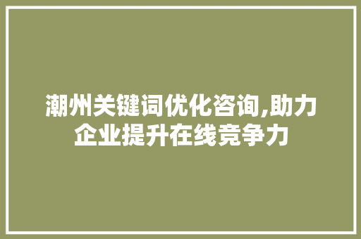 潮州关键词优化咨询,助力企业提升在线竞争力 SEO关键词