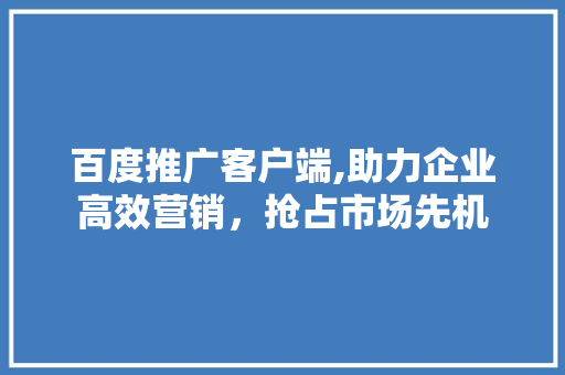 百度推广客户端,助力企业高效营销，抢占市场先机 SEO关键词
