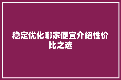 稳定优化哪家便宜介绍性价比之选