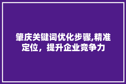 肇庆关键词优化步骤,精准定位，提升企业竞争力 网站建设公司
