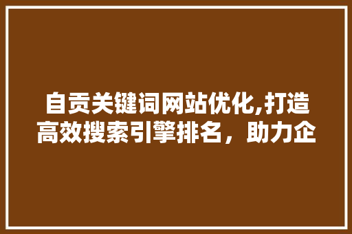 自贡关键词网站优化,打造高效搜索引擎排名，助力企业腾飞
