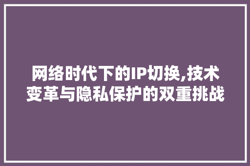 网络时代下的IP切换,技术变革与隐私保护的双重挑战 必应SEO