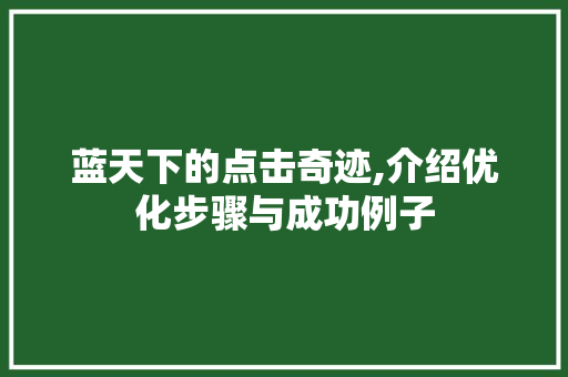 蓝天下的点击奇迹,介绍优化步骤与成功例子 百度SEO