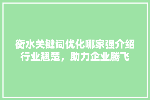 衡水关键词优化哪家强介绍行业翘楚，助力企业腾飞