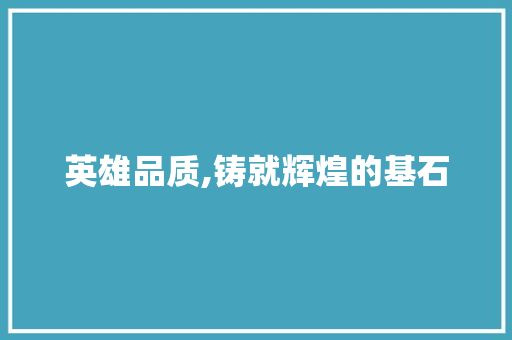 英雄品质,铸就辉煌的基石 搜狗SEO