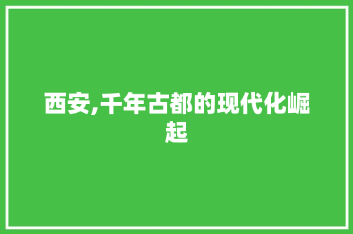 西安,千年古都的现代化崛起 百度SEO