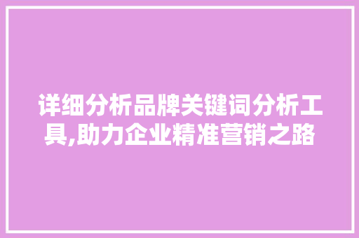 详细分析品牌关键词分析工具,助力企业精准营销之路 百度SEO