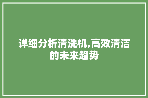 详细分析清洗机,高效清洁的未来趋势 SEO关键词