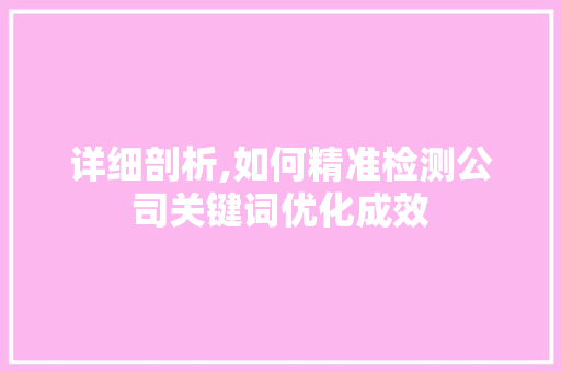 详细剖析,如何精准检测公司关键词优化成效 百度SEO