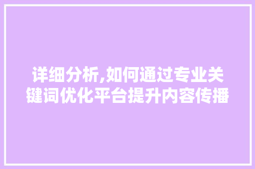 详细分析,如何通过专业关键词优化平台提升内容传播效果 神马SEO
