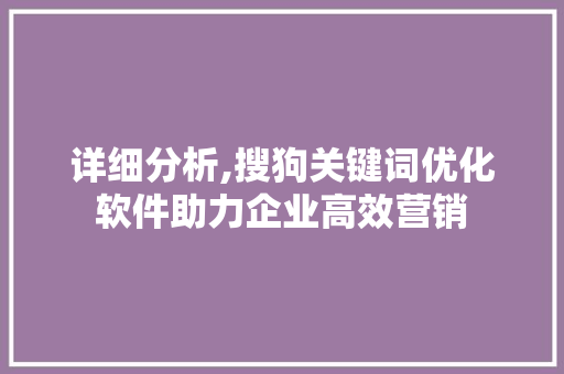 详细分析,搜狗关键词优化软件助力企业高效营销