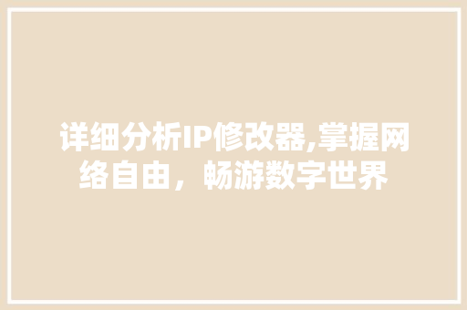 详细分析IP修改器,掌握网络自由，畅游数字世界 神马SEO