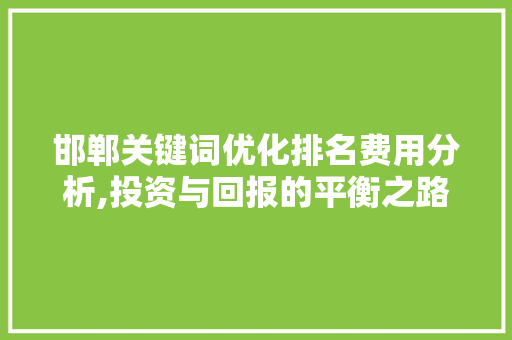 邯郸关键词优化排名费用分析,投资与回报的平衡之路